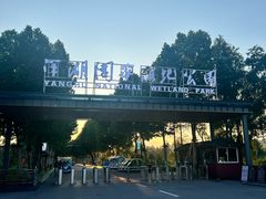 -洋湖国家湿地公园