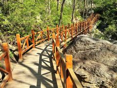 -大岭沟猕猴桃谷风景区