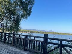 -野鸭湖国家湿地公园