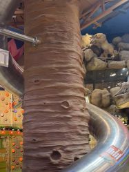 -卡通尼·Safari非洲探索乐园·生日会(金桥国际商业广场店)