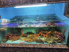 水产区-王庄阿咪海鲜大排档(象园店)