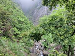 -大鄣山卧龙谷景区