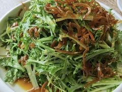 苦菊银鱼-渔家颂歌渔家味道(青石路店)