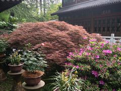 -上海植物园·停车场