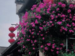 -老门东历史文化街区