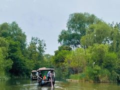 -溱湖国家湿地公园