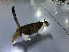 -蓝天射箭馆·专业射箭运动(诚丰广场店)