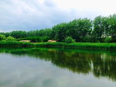 -溱湖国家湿地公园