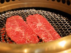 -老乾杯(深圳湾万象城店)