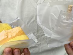 -詹爷爷乌节路街头冰淇淋