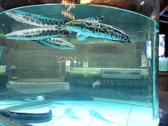 -观澜湖酒店·邀月庭中餐厅
