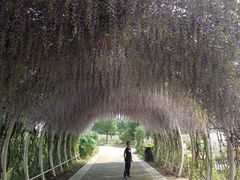 -同里国家湿地公园