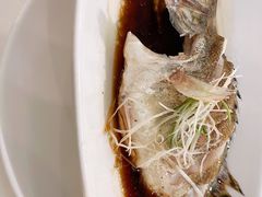 -十八棵（老龙井）御茶园(老龙井店)