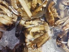 -铭聚章鱼土笋冻(松柏店)