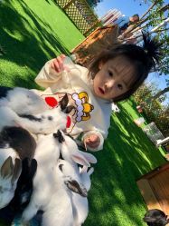 -萌宠亲子动物乐园(槐房万达店)