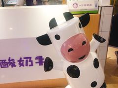 -一只酸奶牛(百联南岸上海城店)