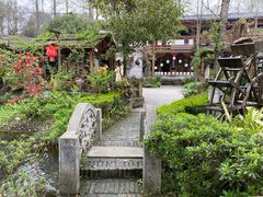 -青城甲(青城山店)