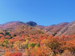-建平天秀山森林公园