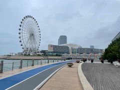 -琴岛之星摩天轮