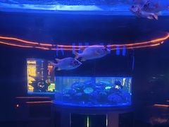 -上和臻品中国菜(花园街店)