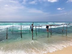 -尼甘布海鲜市场