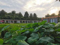 -洪湖家庭农场·团建·露营·会议