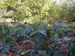 -泉城欧乐堡戏水湾艺术养生温泉