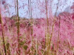 -艾溪湖湿地公园