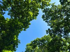 -帽儿山国家森林公园