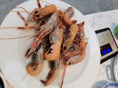 -半岛听涛蒸汽海鲜自助(K11店)