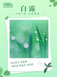 -宝馨月月子中心(友谊医院店)