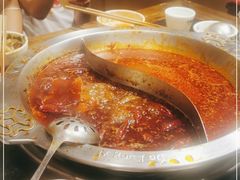 -大龙燚火锅(春熙店)