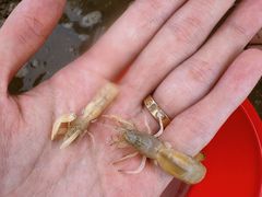 -东戴河风景区-止锚湾