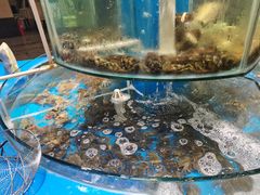 -四海蒸鲜蒸汽海鲜自助(北戴河店)