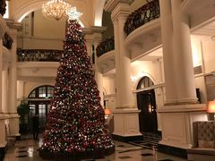 -LONG BAR 廊吧(外滩华尔道夫酒店)