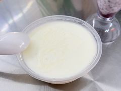 -义顺牛奶公司(新马路老店)