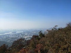 -紫金山天文台