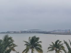 -观澳平台