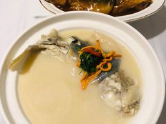 养颜白汁河豚-肆月河豚·新淮扬(金融街店)