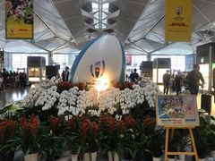-中部国际机场