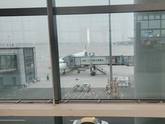-青岛胶东国际机场