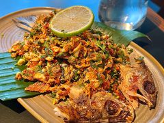 -Ameigo梅果·云贵川bistro(长宁来福士店)