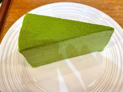 -王守财小山園