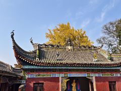 -佛荫寺