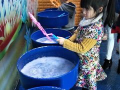 -中国宋庆龄青少年科技文化交流中心