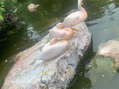 -昆明动物园