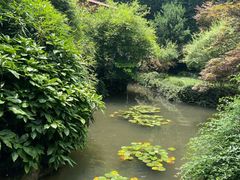 -中国茶叶博物馆(双峰馆区)