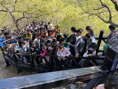 -皇藏峪国家森林公园