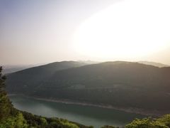 -铁山坪森林公园