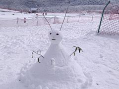 -西岭雪山大飞水景区